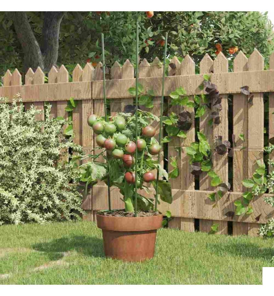Supports pour plantes de jardin 3 anneaux 5pcs Vert 60 cm Acier