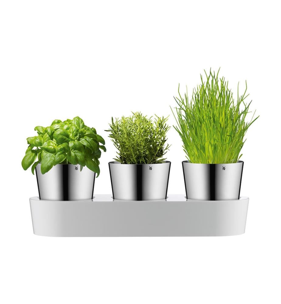 Jardin d'Herbes Aromatiques, 3 Pièces