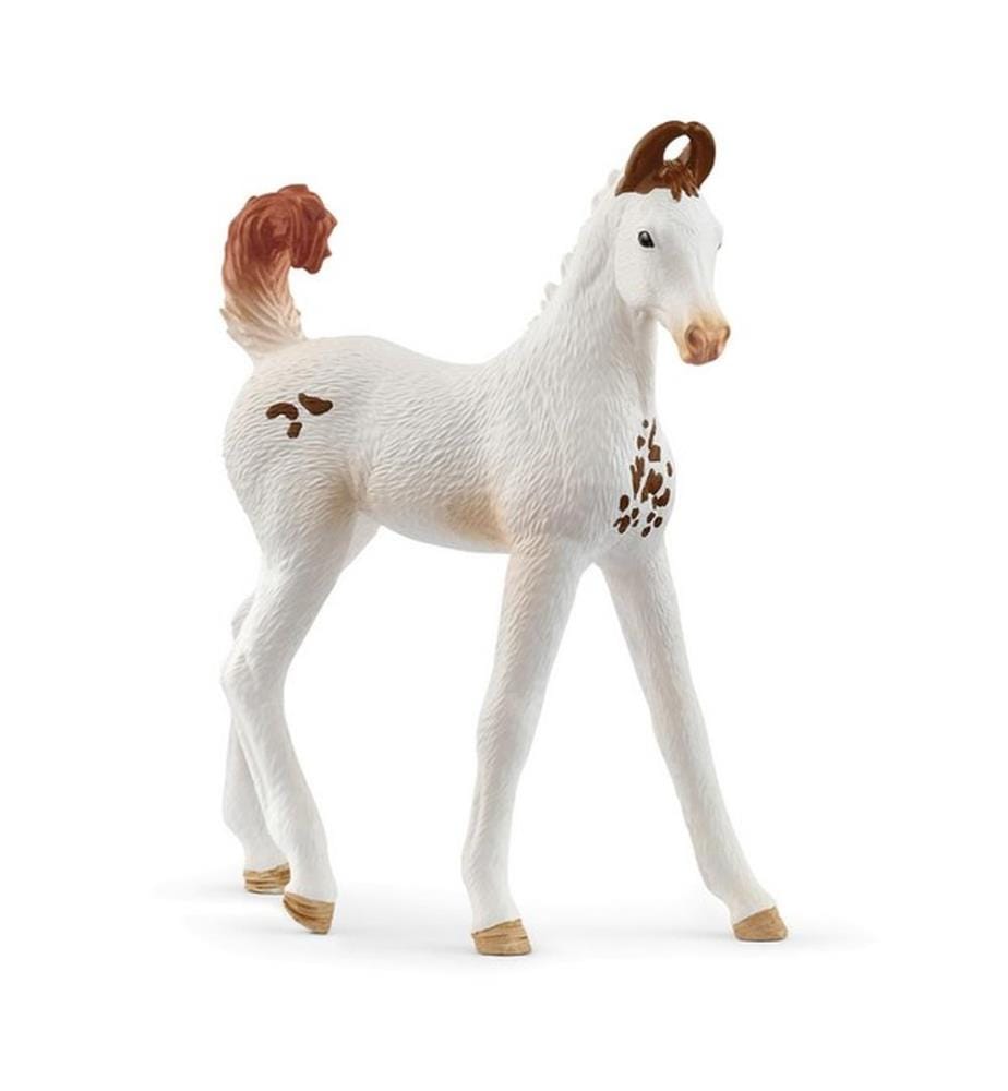 14896 - Figurine à Collectionner Poulain Marwari