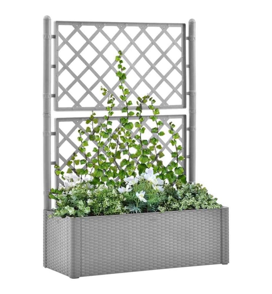 Lit surélevé de jardin et treillis et système d'arrosage Gris