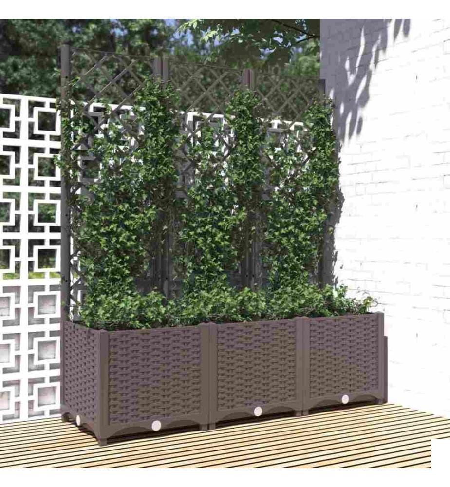 Jardinière avec treillis Marron 120x40x136 cm PP