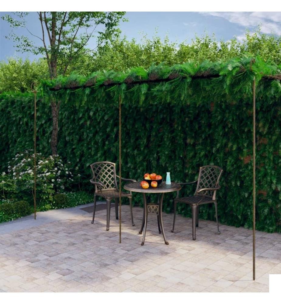 Pergola de jardin Marron antique 6x3x2,5 m Fer