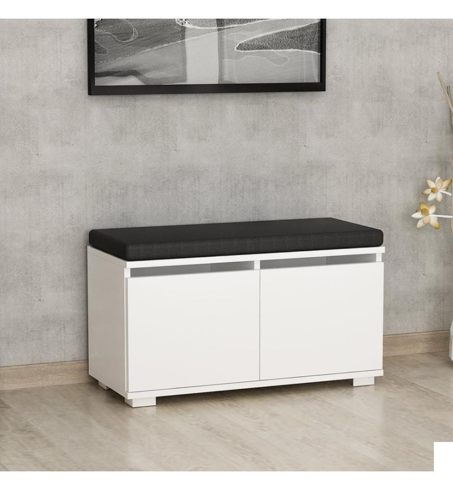 Meuble à chaussures, blanc, panneau de particules mélaminé