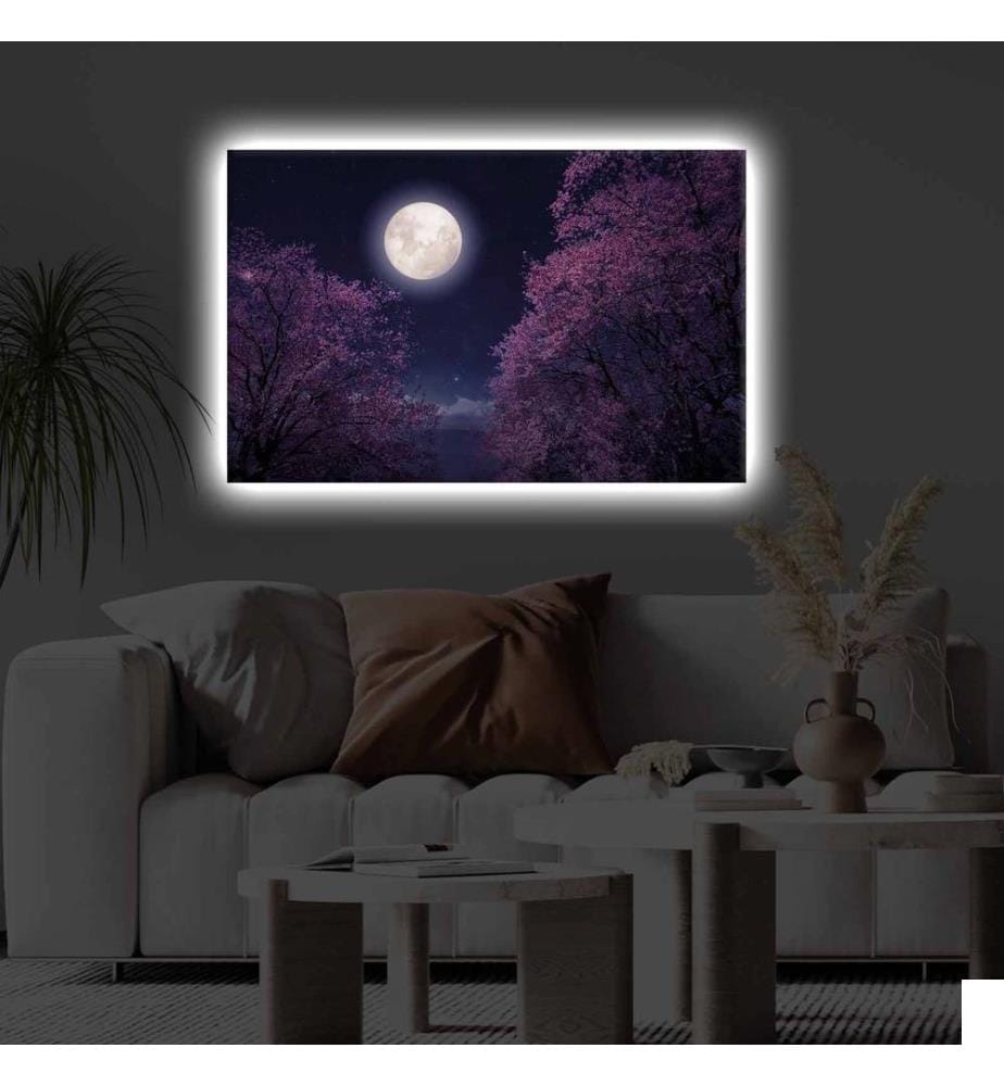 Peinture sur toile décorative éclairée par LED, multicolore, toile polyester