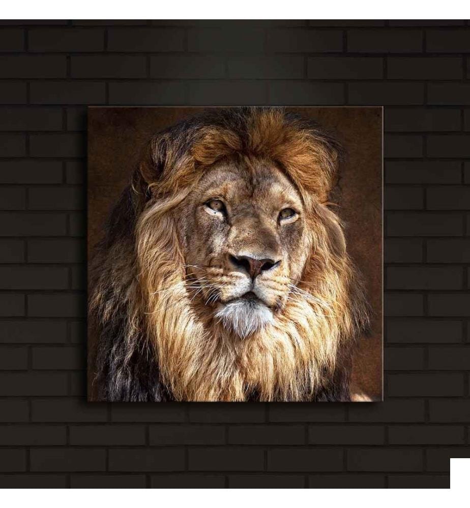 Peinture sur toile décorative éclairée par LED, multicolore, toile en daim