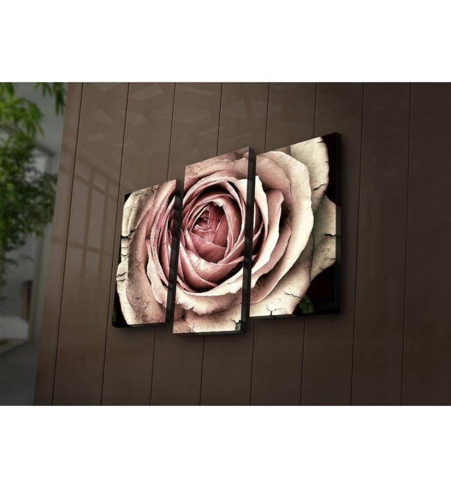 Peinture sur toile décorative éclairée par LED, 3 pièces, multicolore, toile en daim