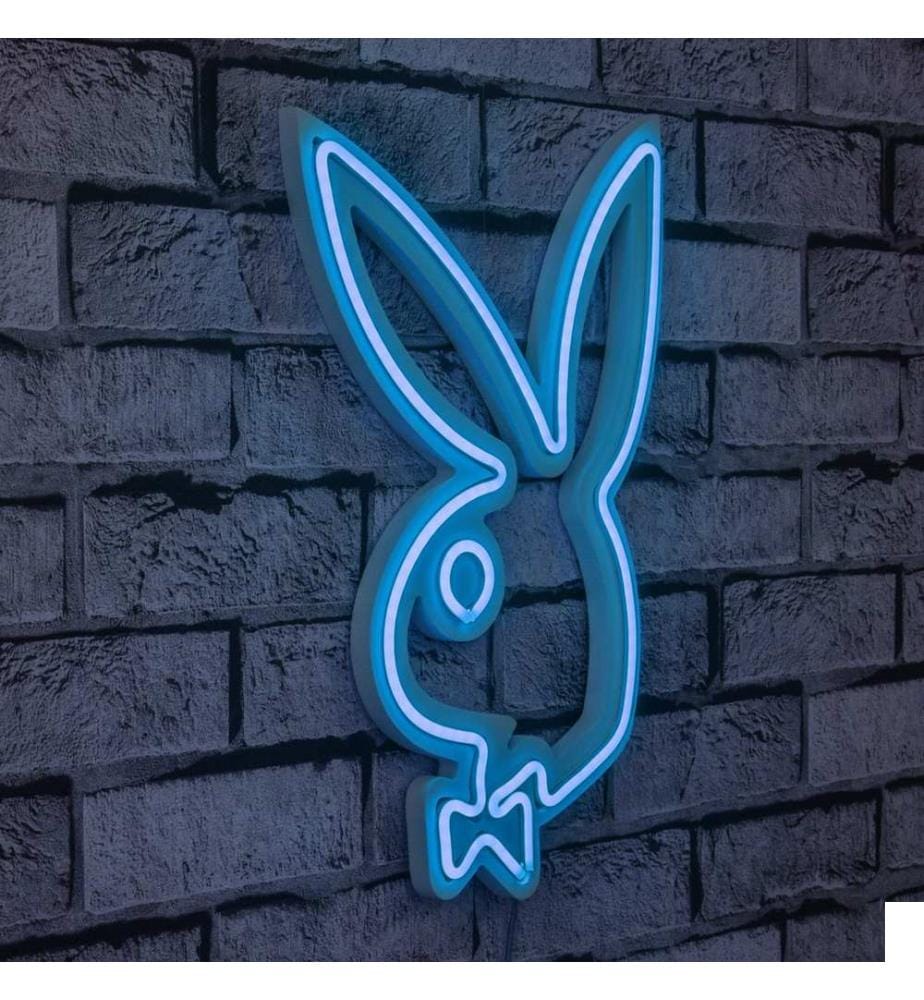 Éclairage décoratif à LED en plastique, bleu, bandes de néon flexibles, tension de service 12 V