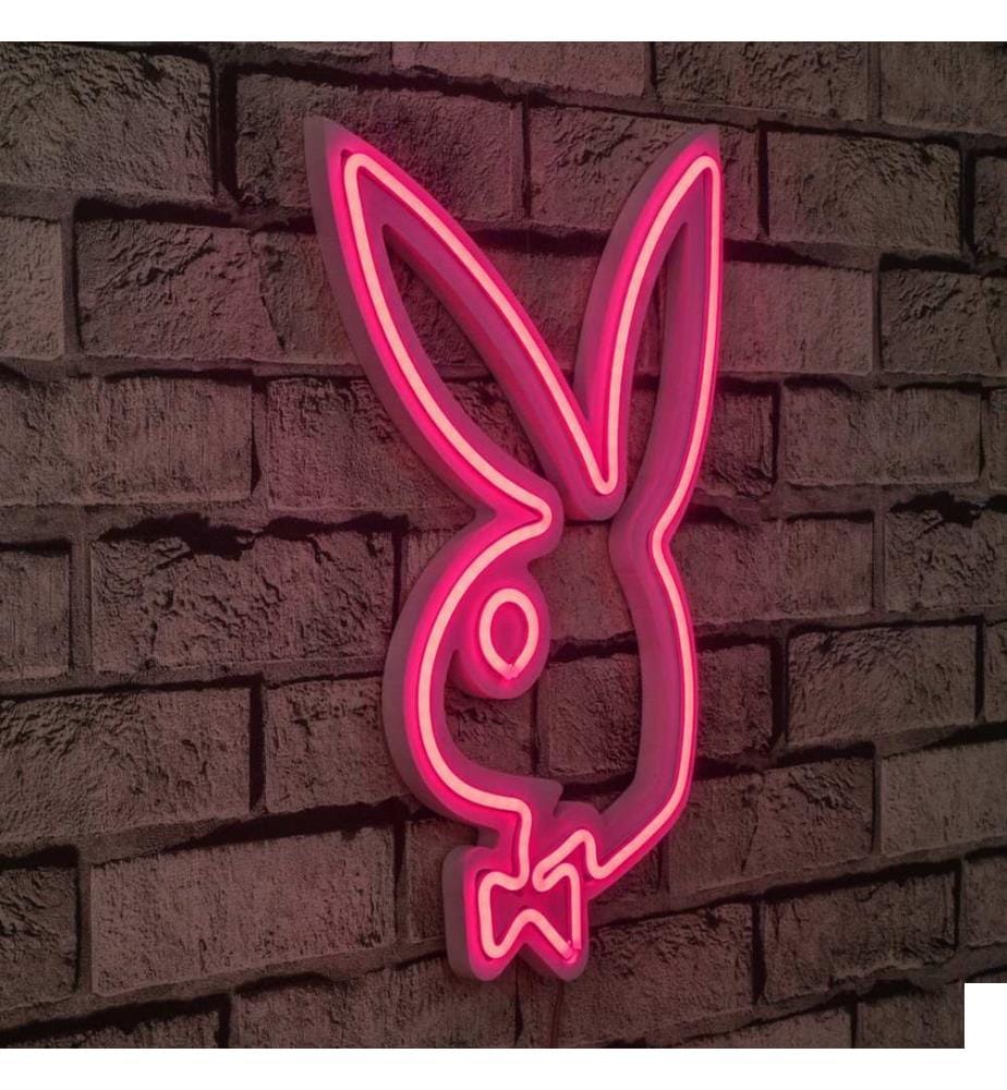 Éclairage décoratif à LED en plastique, rose, bandes de néon flexibles, tension d'alimentation 12 V