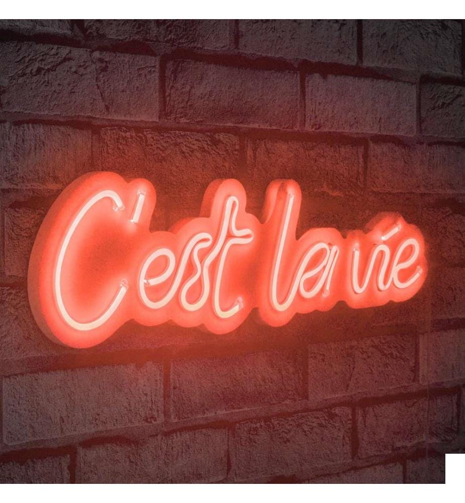 Éclairage décoratif à LED en plastique, rouge, bandes de néon flexibles, tension d'alimentation 12 V