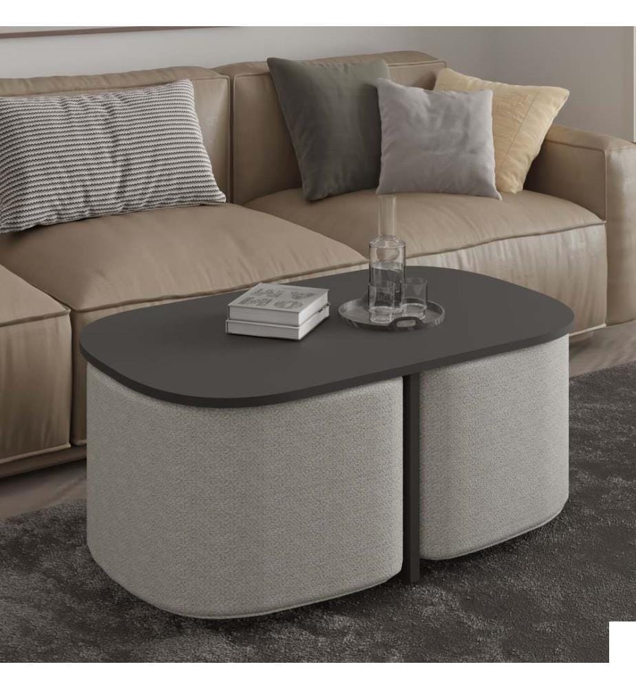 Ensemble table basse, panneau de particules 100 % mélaminé, anthracite