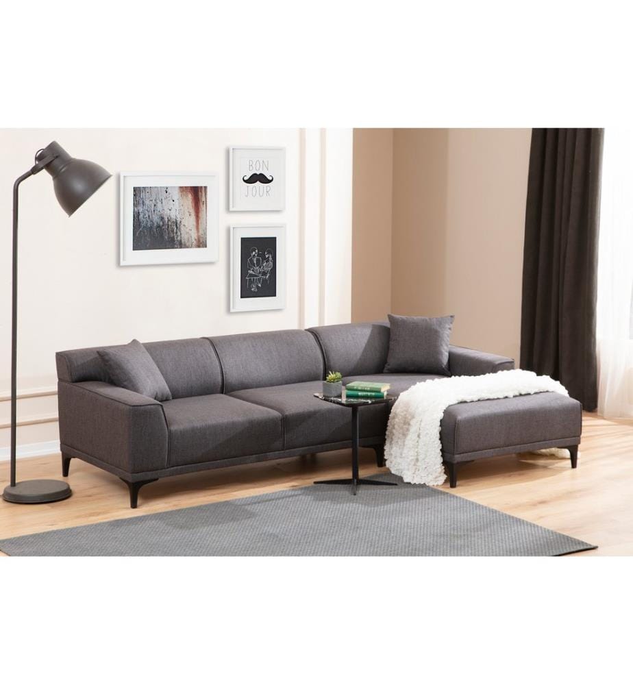 Anthracite, Canapé Lit, Bois Cadre De Hêtre , Panneaux De Bord