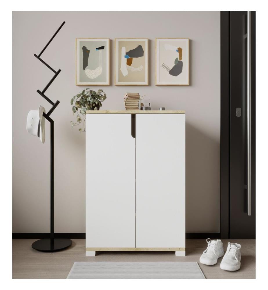Armoire à chaussures, chêne saphir, blanc, 100 % panneau de particules mélaminé