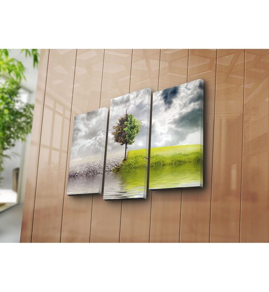 Peinture décorative sur toile, 3 pièces, multicolore, 100 % SUEDE CANVAS