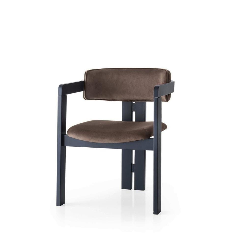 Chaise, noire, marron, châssis : Bois