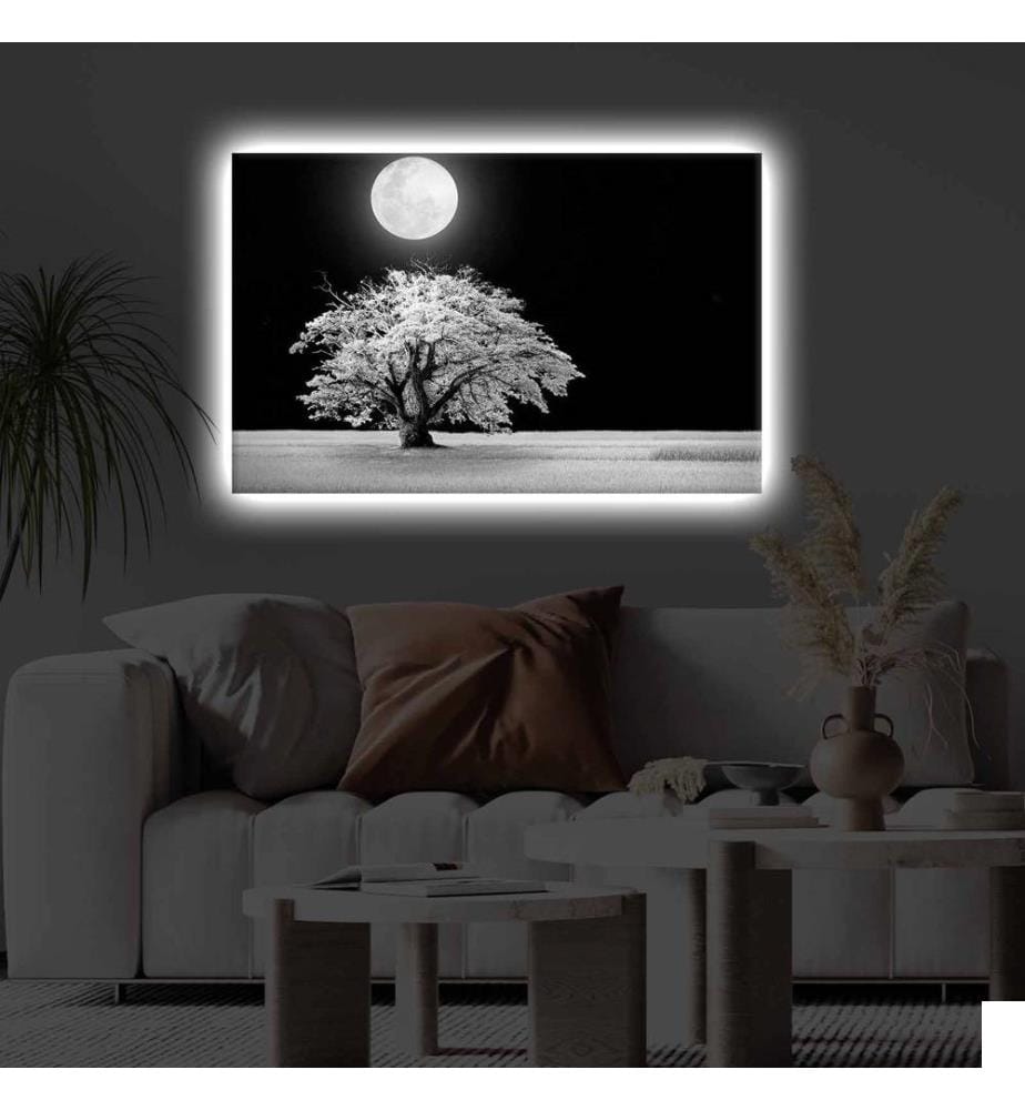 Peinture sur toile décorative éclairée par LED, multicolore, toile polyester