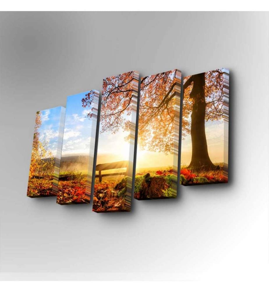 Peinture décorative sur toile, 5 pièces, multicolore, toile en daim