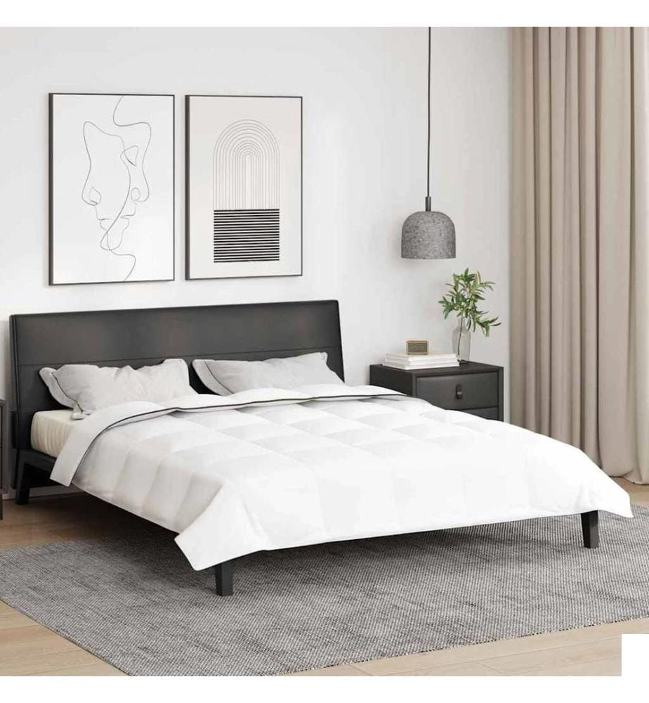 Duvet d'hiver Blanc 200 x 240 cm Plume