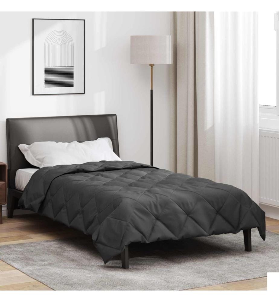 Couette d'été Anthracite 200 x 135 cm Microfibre