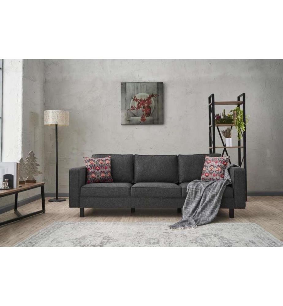 Canapé 3 places, anthracite, structure en bois de hêtre, polyester - tissu lin