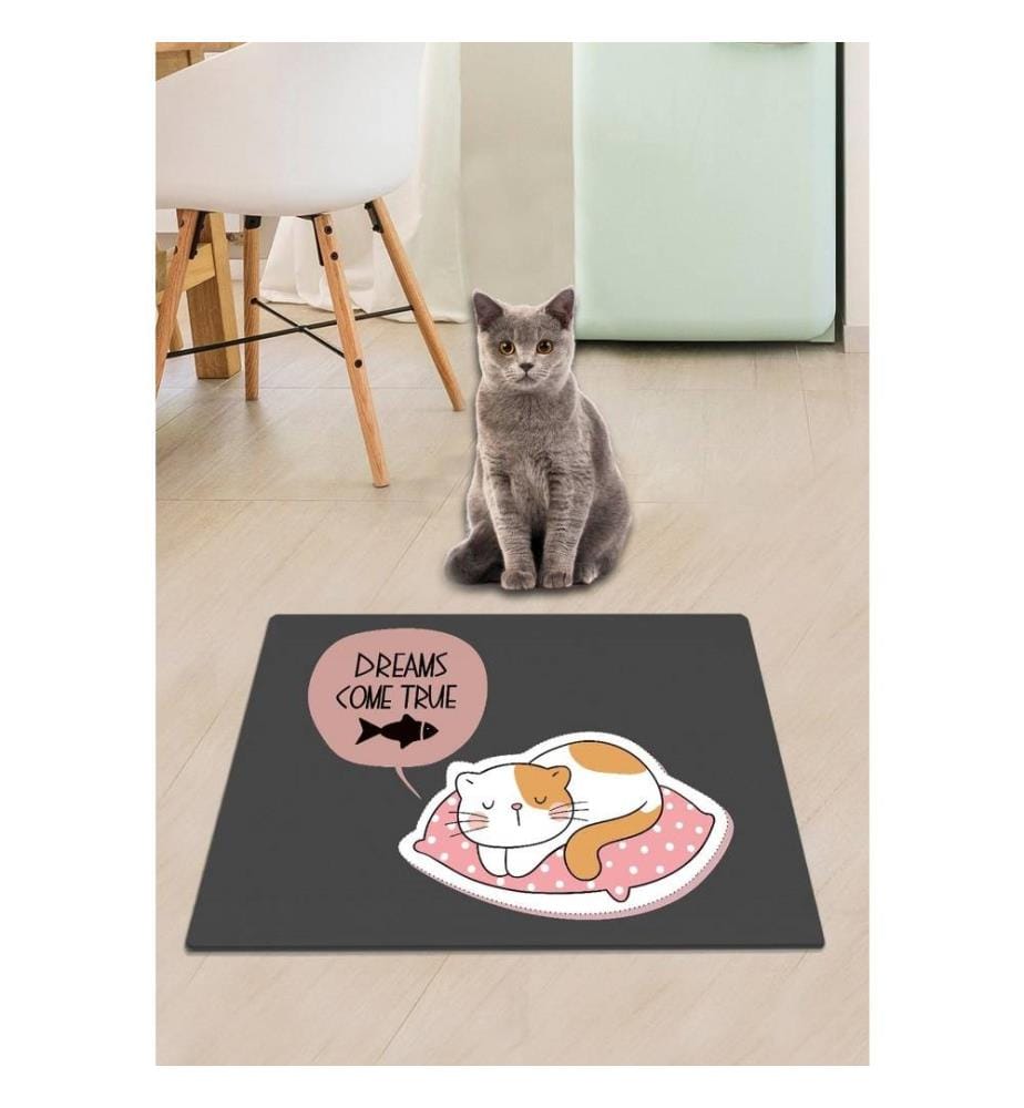 Tapis pour litière de chat, multicolore, PVC, dessous antidérapant
