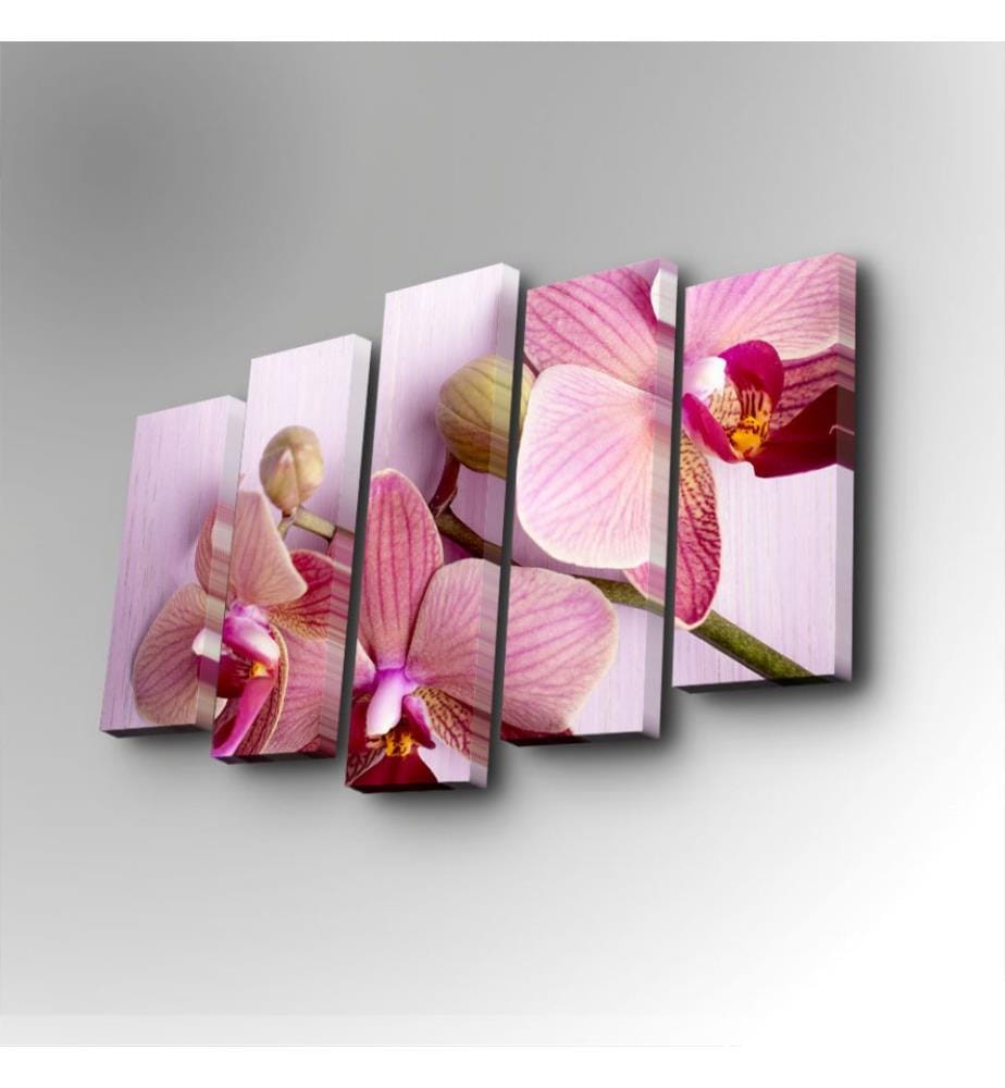 Peinture décorative sur toile, 5 pièces, multicolore, 100% toile de daim