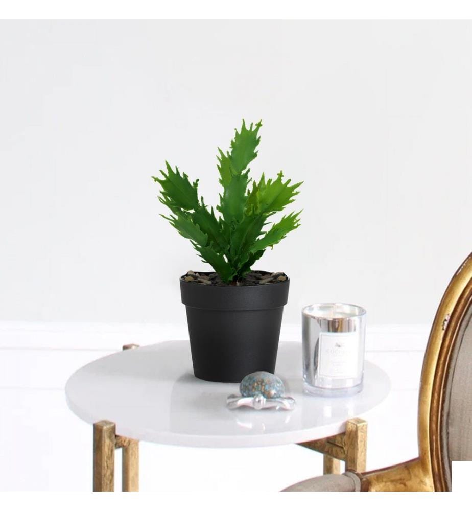 Pot décoratif, noir, vert, corps en Plastic