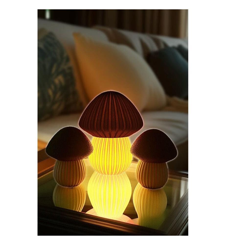 Trinket Set, 3 Pieces, Cream, Brown, 100% BIOPLASTIC