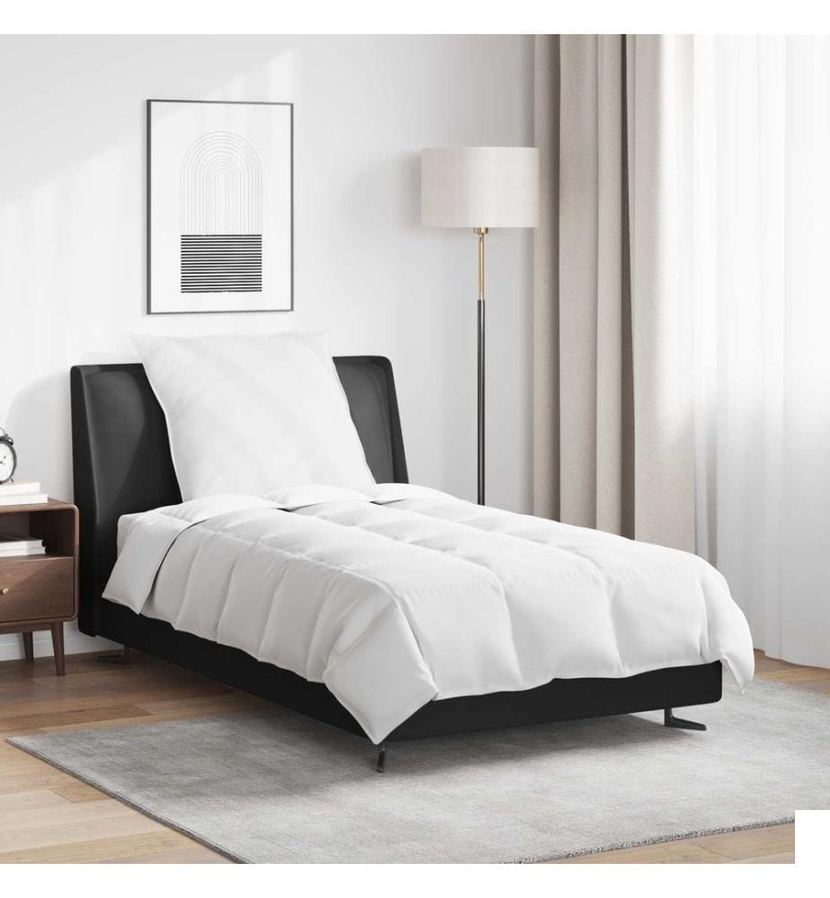 Duvet d'hiver avec oreiller 2 pcs Blanc Plume de canard
