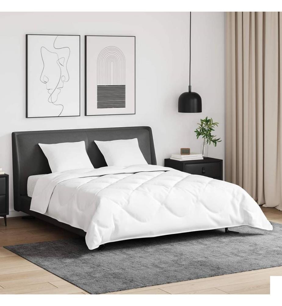 Ensemble de Duvet avec oreiller 3 pcs Blanc Plume de canard