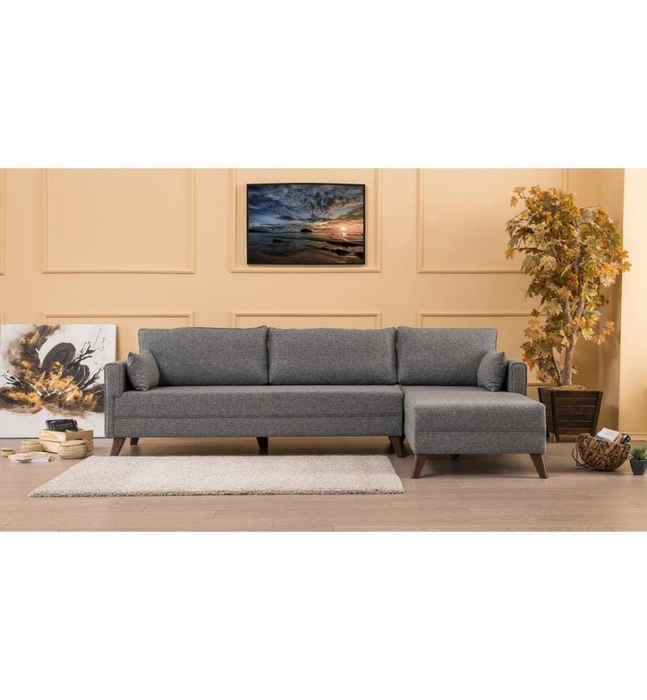 Gris, Canapé Lit, Bois Cadre , MDF