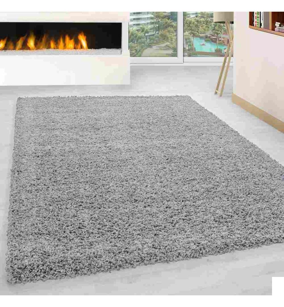 Tapis, gris clair, 100% polypropylène, 100 x 200 cm