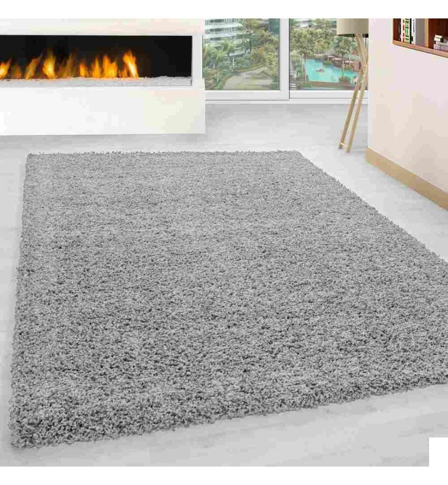 Tapis de hall, gris clair, 100% polypropylène, 80 x 150 cm