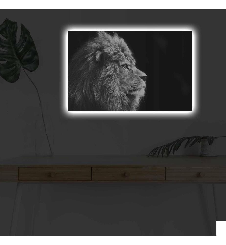 Peinture sur toile décorative éclairée par LED, multicolore, toile en daim