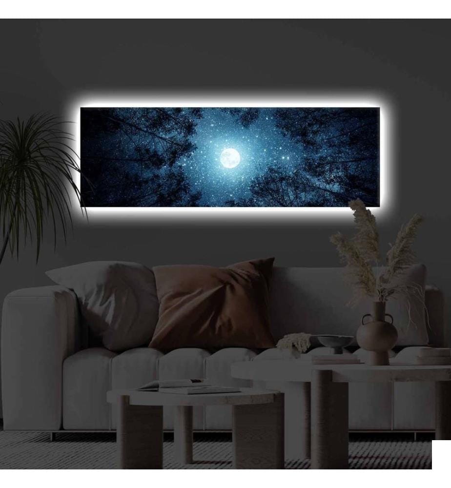 Peinture sur toile décorative éclairée par LED, multicolore, toile polyester