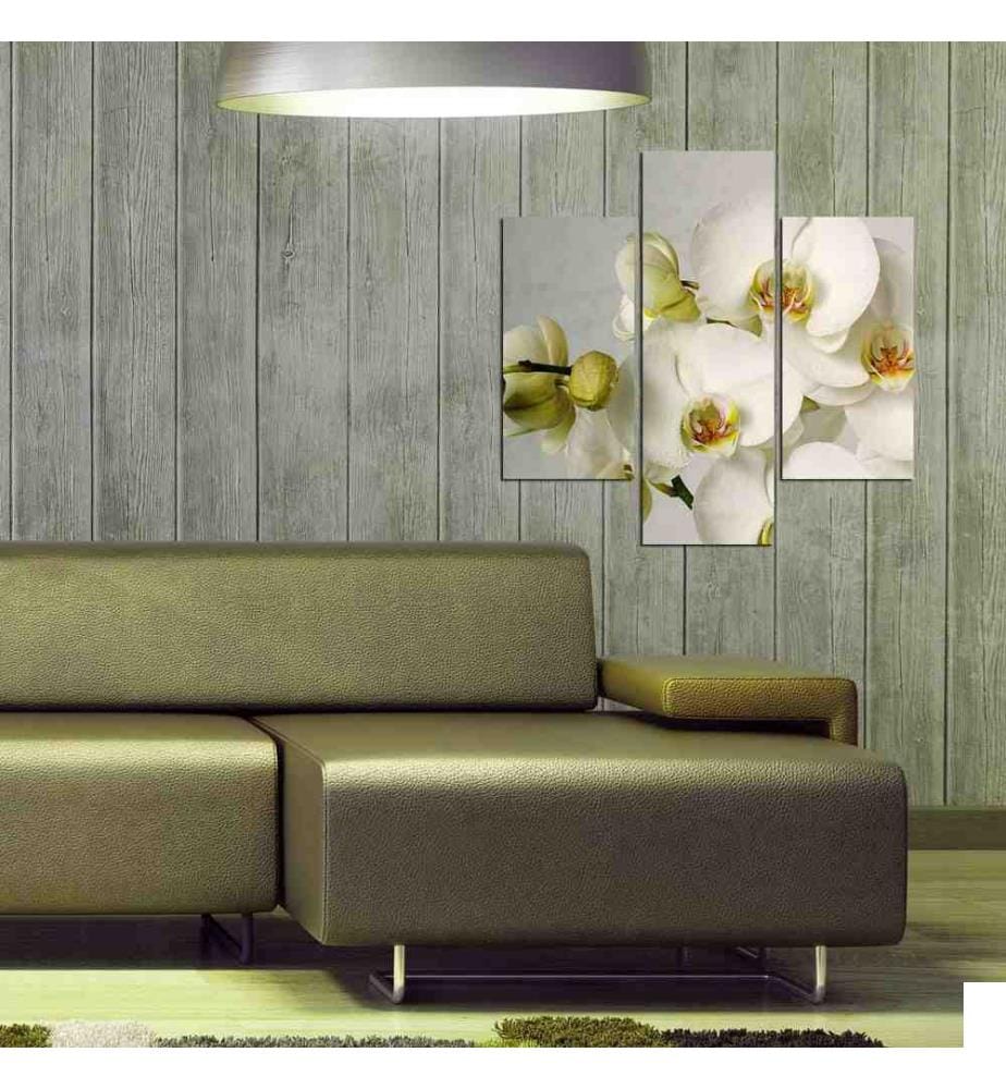 Peinture décorative MDF, 3 pièces, Multicolore, MDF