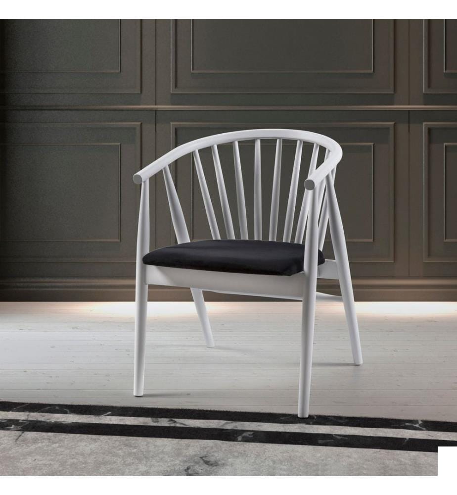 Chaise, blanc, noir, bois massif