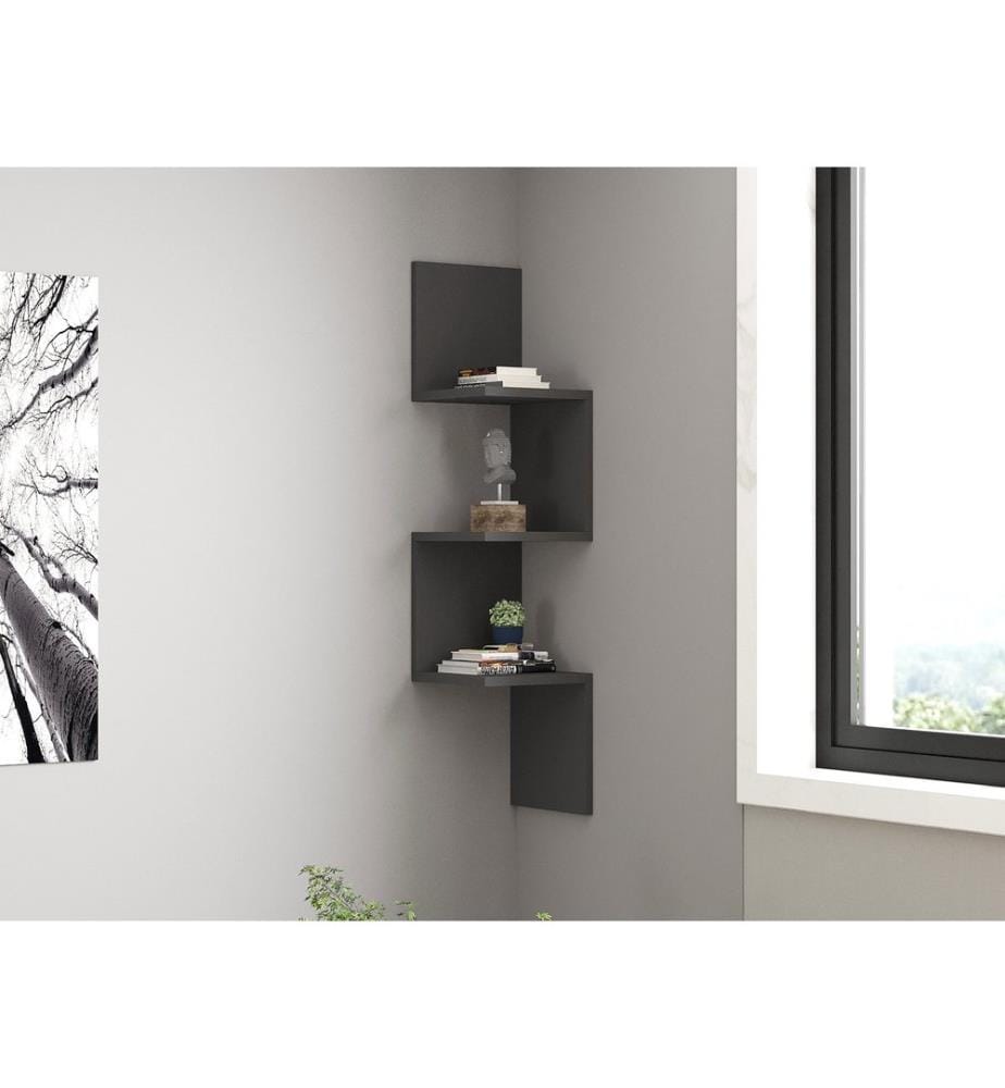 Anthracite, Étagères Murales, 25X105.4X25 cm, Plaque De Particules À Revêtement En Mélamine