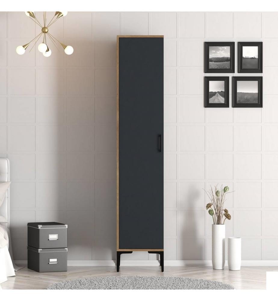 Armoire, noyer, anthracite, panneau de particules mélaminé