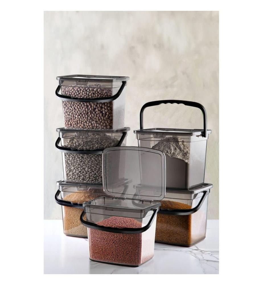 Ensemble de boîtes de rangement, 6 pièces, grises, 100 % plastique
