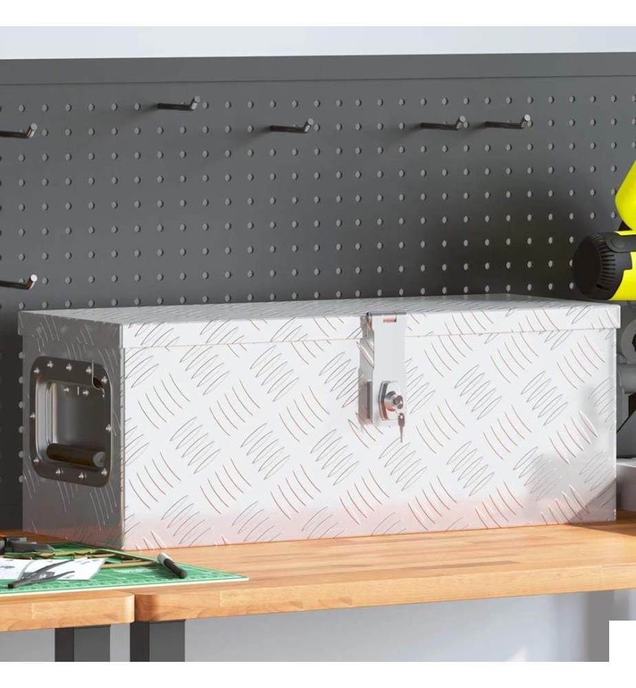 Boîte de rangement Argenté 60x23,5x23 cm Aluminium