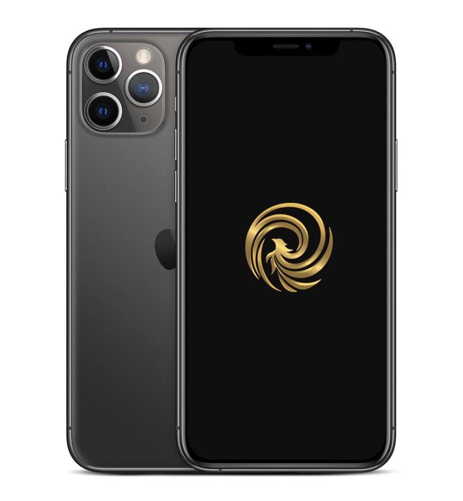 Iphone reconditionné REBORN - Modèle : IP11PRO64GS