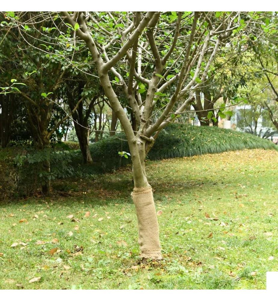 Rouleau de jute 0,5x50 m 100 % jute 200 g/m²