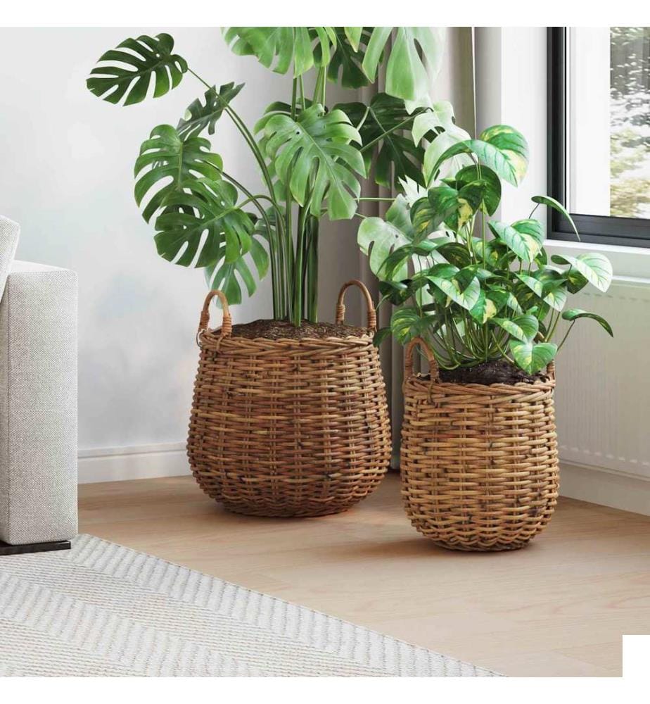 Panier à Plantes avec stockage 2 pcs Marron Rattan Lacak