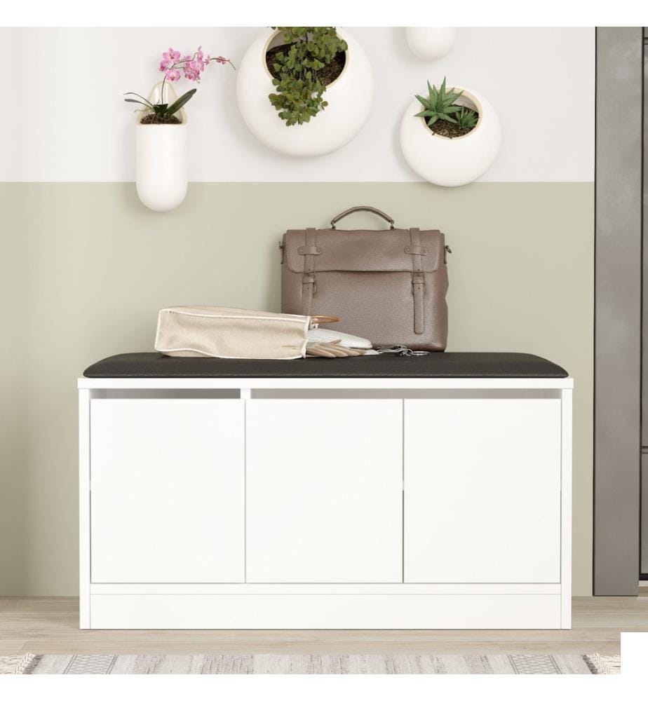 Meuble à chaussures, blanc, panneaux de particules mélaminés