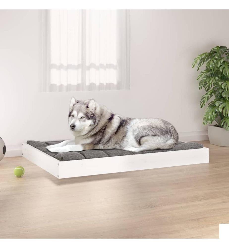 Lit pour chien Blanc 101,5x74x9 cm Bois de pin solide
