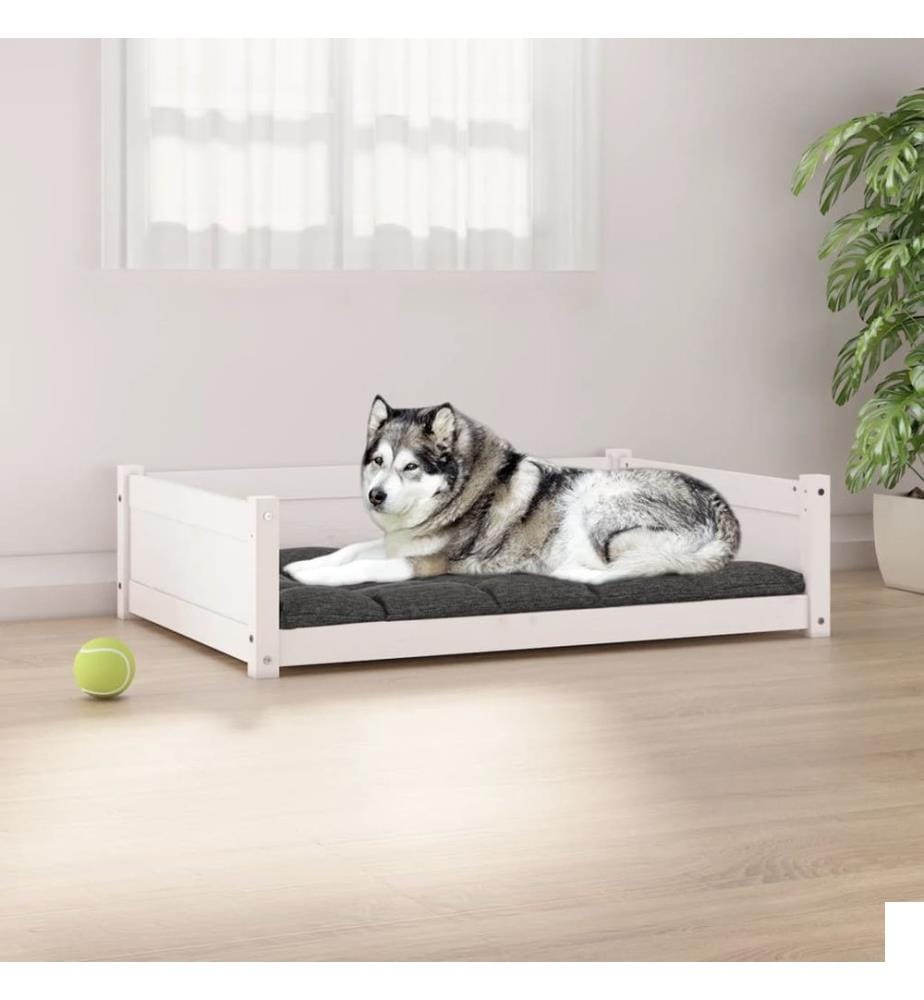 Lit pour chien Blanc 105,5x75,5x28 cm Bois de pin solide