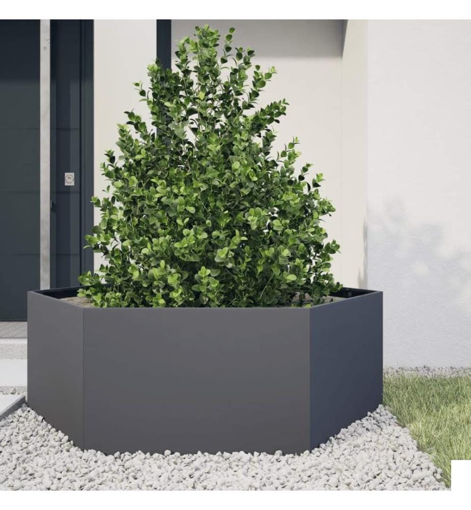 Jardinière anthracite hexagone 138x120x45 cm acier