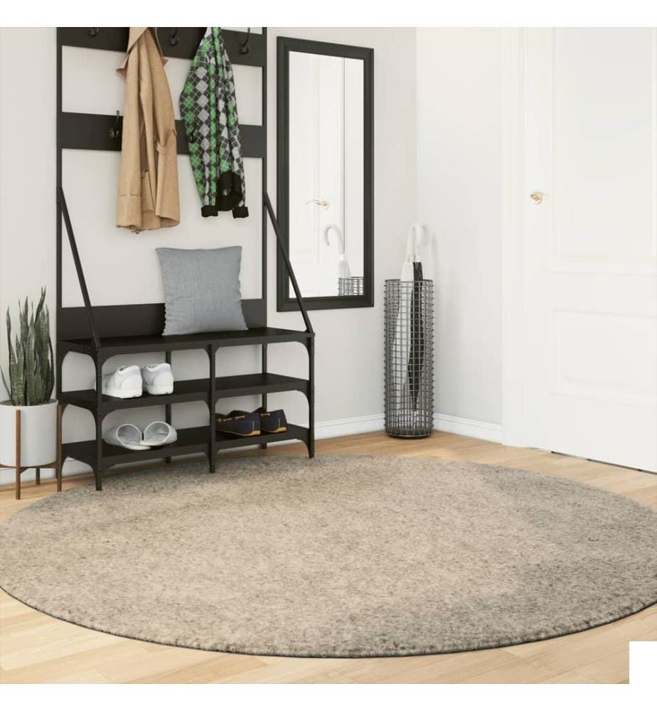 Tapis ISTAN à poils longs aspect brillant beige Ø 200 cm