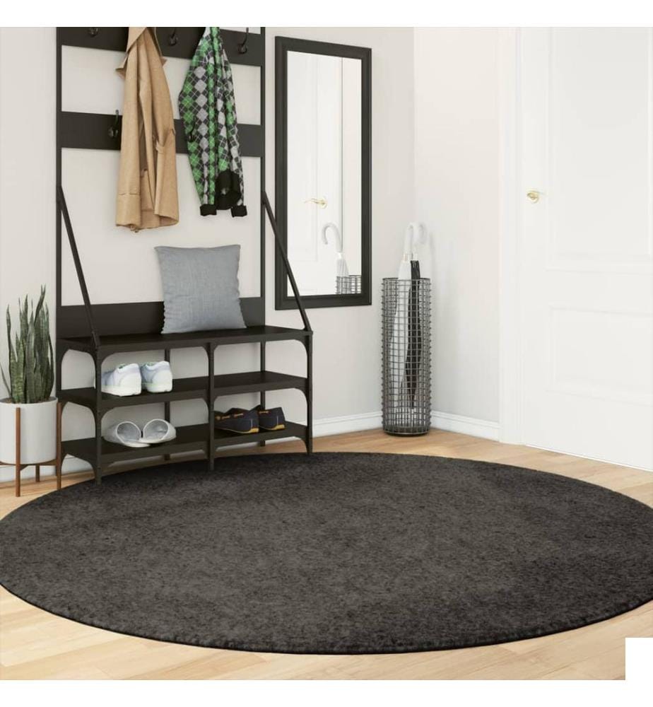 Tapis ISTAN à poils longs aspect brillant anthracite Ø 200 cm