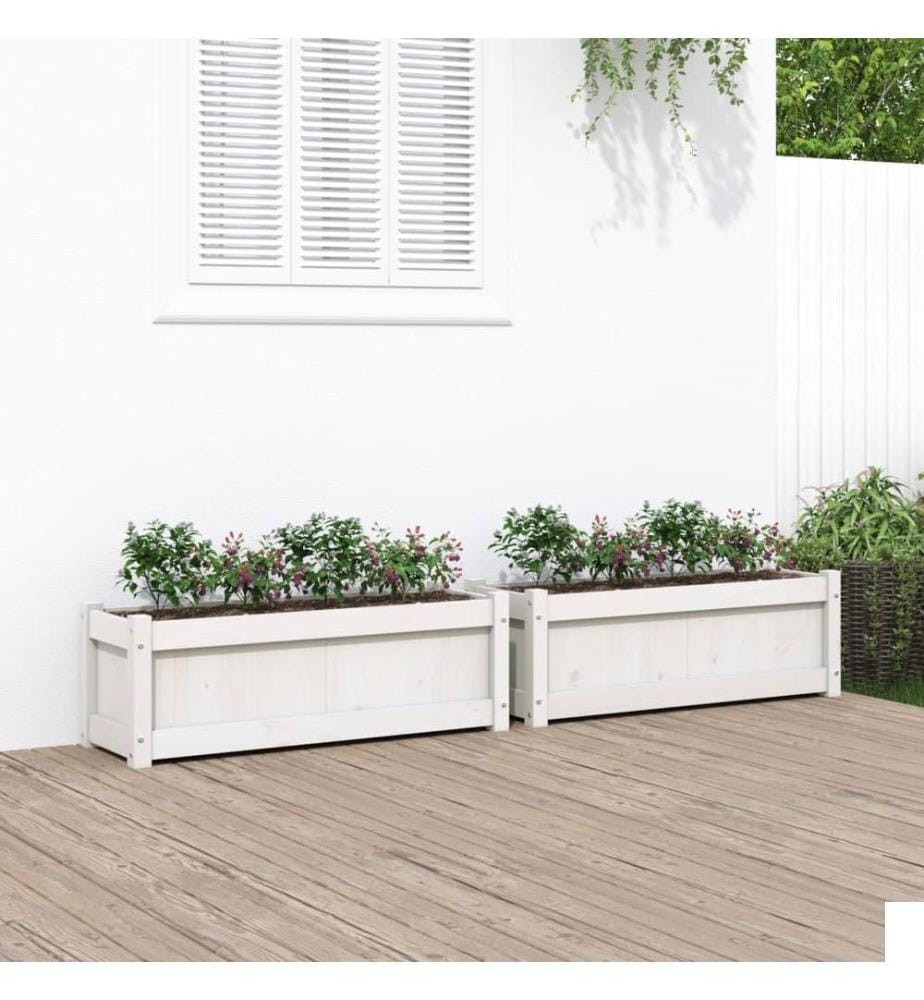 Jardinières 2 pcs blanc bois de pin massif